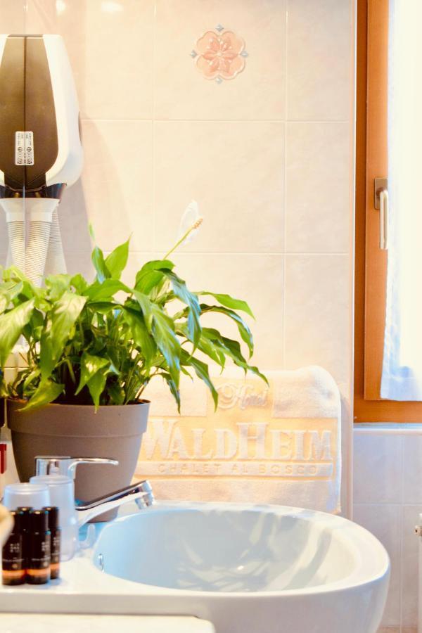 Hotel Waldheim Sarnonico エクステリア 写真