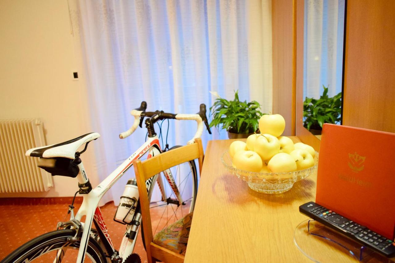 Hotel Waldheim Sarnonico エクステリア 写真