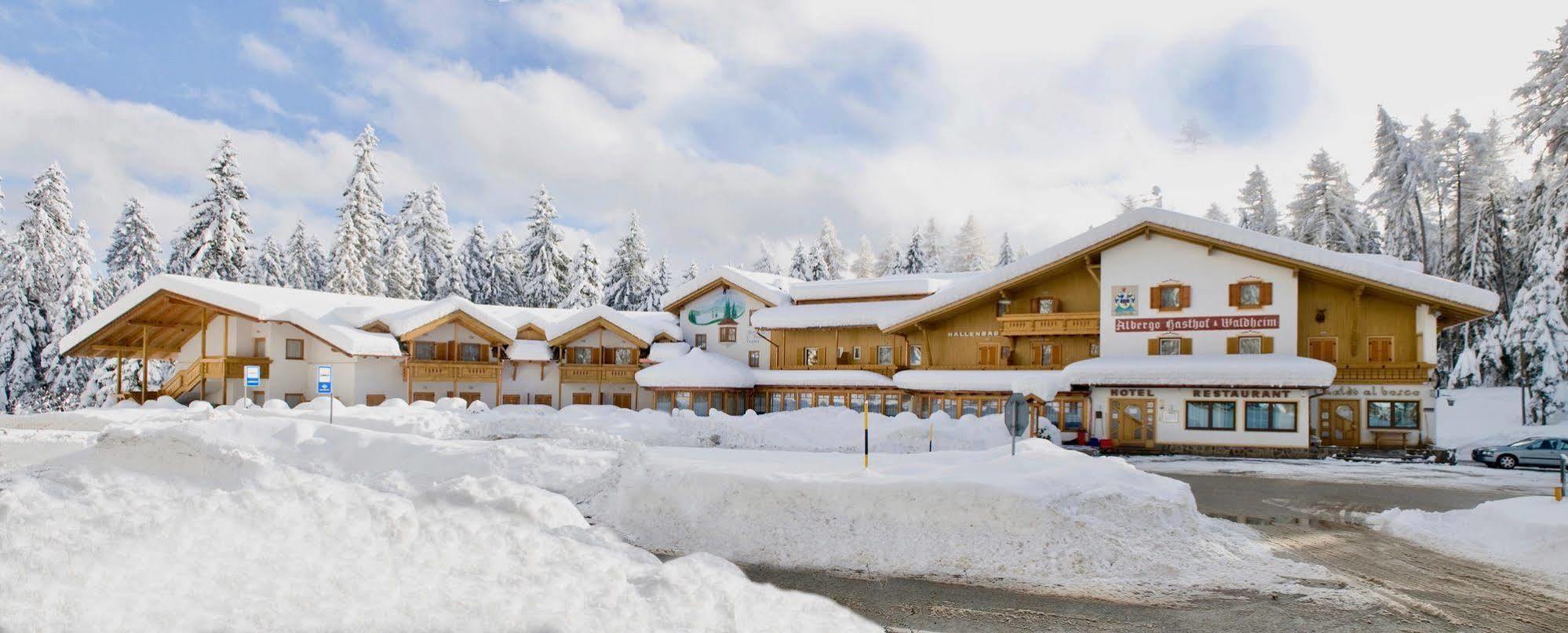 Hotel Waldheim Sarnonico エクステリア 写真